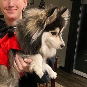 Meet your Posher, Brandy